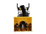 Lumefrees Texas Snow King 617TGE